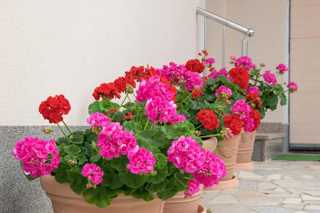Apartments Hortensia Pula Luaran gambar