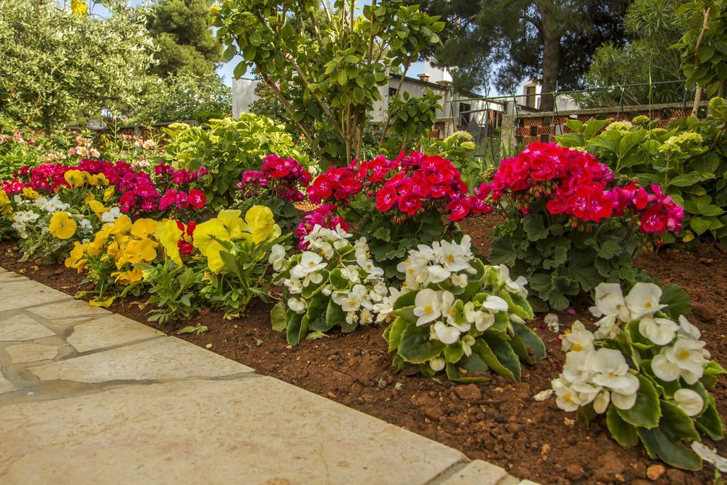 Apartments Hortensia Pula Luaran gambar